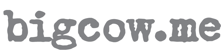 big cow